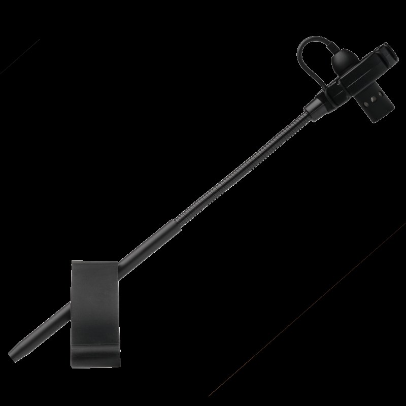 Prodipe BL21